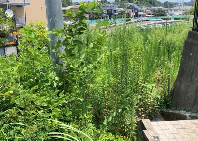 現地に行くなら、物件の周囲の地形がどうなっているかを見ることも大切です。周辺より低くなっている土地では、大雨などで水が集まりやすいため、地盤が弱くなっているということも考えられるため、注意が必要です。