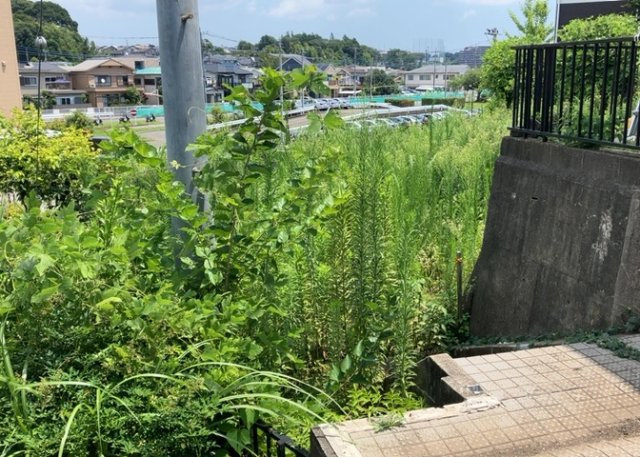 物件の詳細については、現地を見てわかること以外に、役所や法務局などで調べないとわからないことがあります。そのため、現地に行く場合は、もしこの物件を買ったらどのような生活ができるかをイメージしましょう。