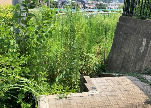 土地購入を検討されている場合、境界杭がない状態で購入してしまうと境界確定測量をする必要があり、費用がかかります。購入の前に、売主、隣土地所有者立ち合いのもと境界を確定し境界杭を設置するのがベストです。