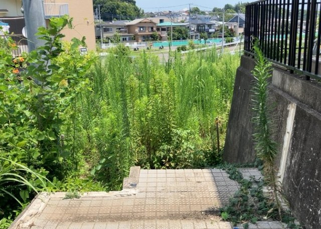 家を建てる前提で土地を探している場合、地盤の丈夫さは譲れない条件の一つです。地盤が脆弱だと追加工事が必要となります。また、過去に地盤沈下や液状化現象を起こした土地は、できるだけ避けた方がいいでしょう。