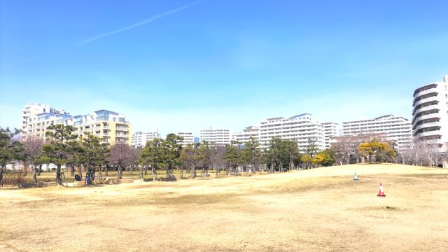 近所の公園でペットと散歩を楽しめます。