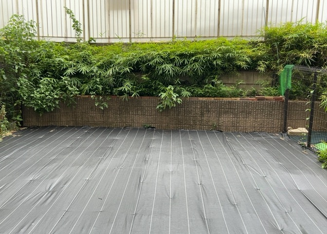 バルコニーは、室外の専用スペースのうち、「屋根がなく開放された空間」であるものを指します。ベランダより広いタイプのものが多く、日当たりもよいため家庭菜園などを楽しみたい人にとって適した環境となります。