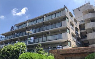 外観：313004661103