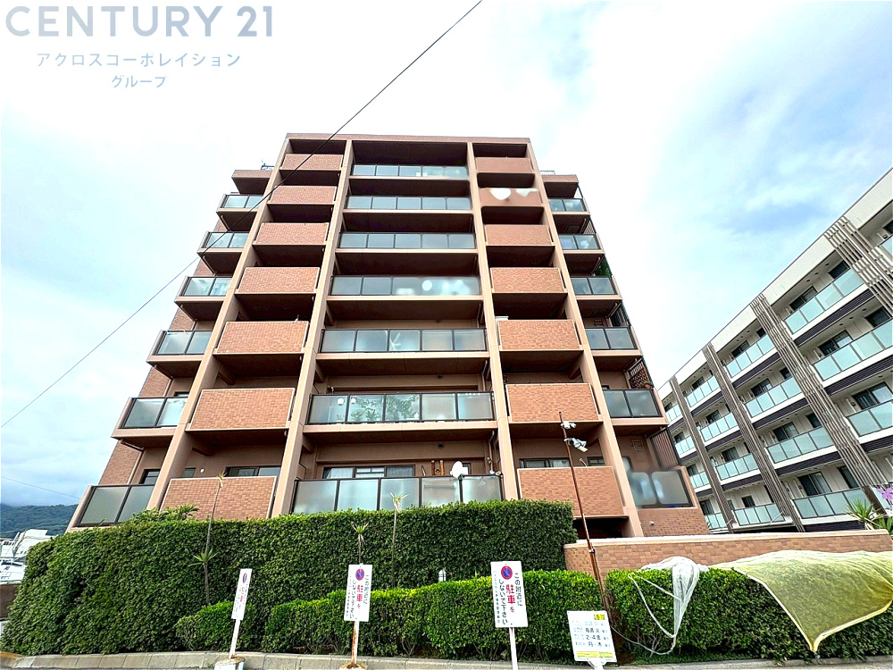 外観：328000590562