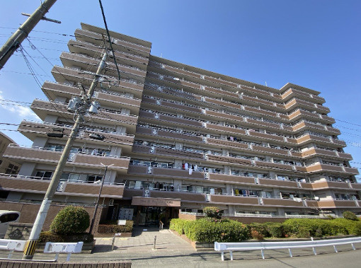 外観：340000279385