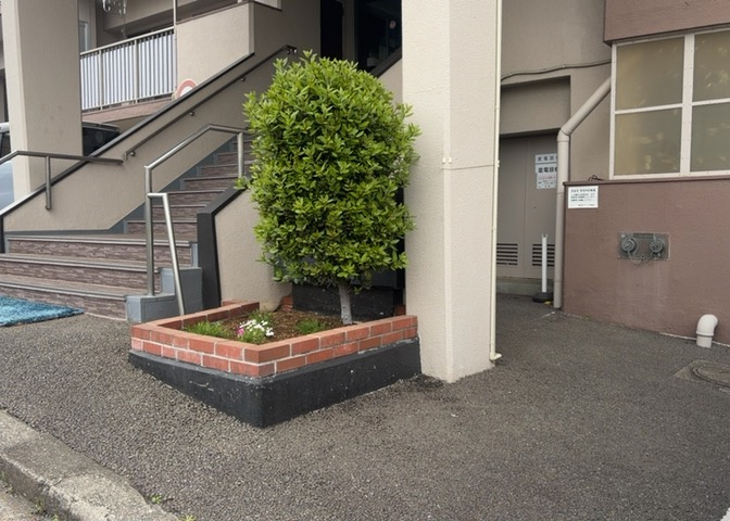 中庭（パティオ）とは、一つの建築物の内部に設けられた、壁などで囲われている庭のことを指します。コの字型、ロの字型が主流ですが、L字型の中庭もあります。最近では、インテリア性の高さからも人気があります。