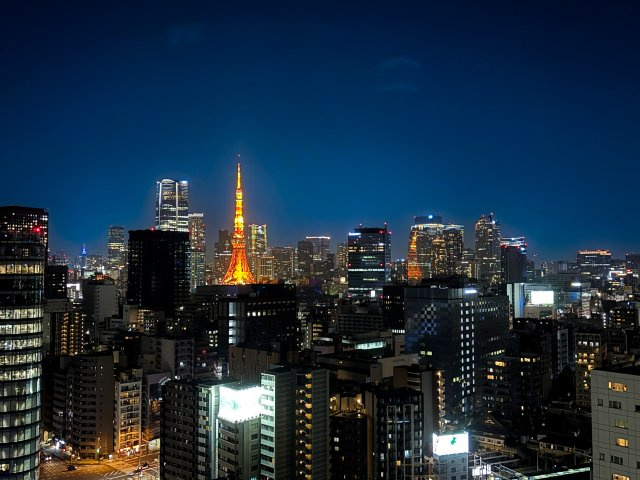 リビングからのビュー（東京タワー）です。