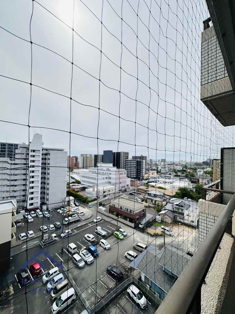 展望