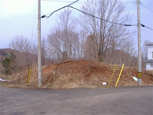 外観：301000102860