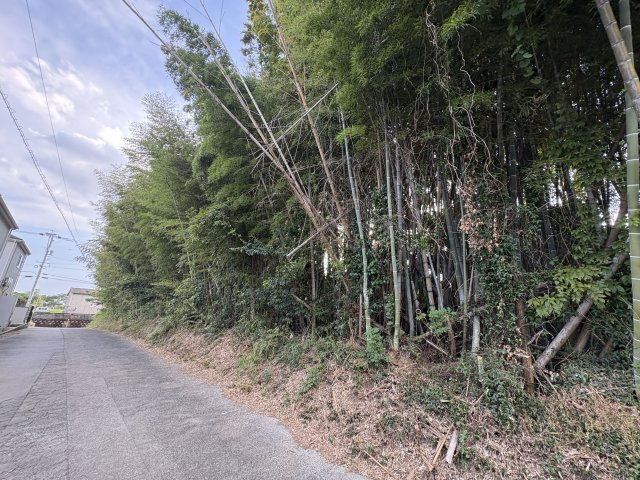 区画図：343000083373