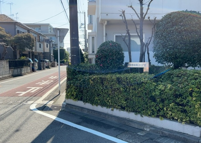 中庭（パティオ）とは、一つの建築物の内部に設けられた、壁などで囲われている庭のことを指します。コの字型、ロの字型が主流ですが、L字型の中庭もあります。最近では、インテリア性の高さからも人気があります。