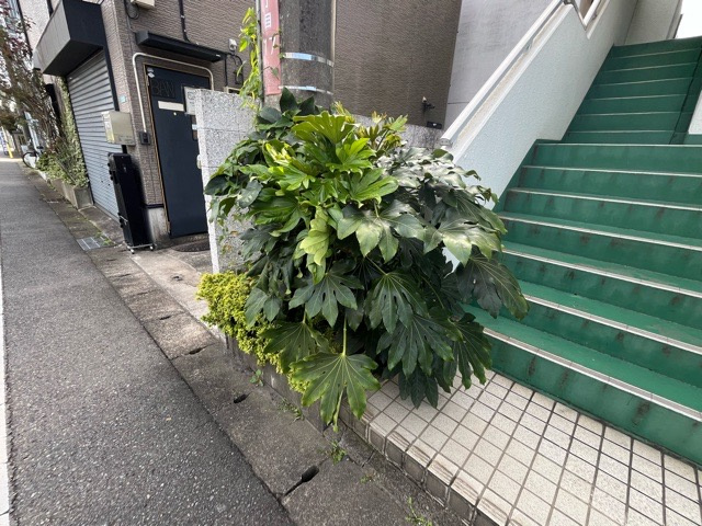 庭