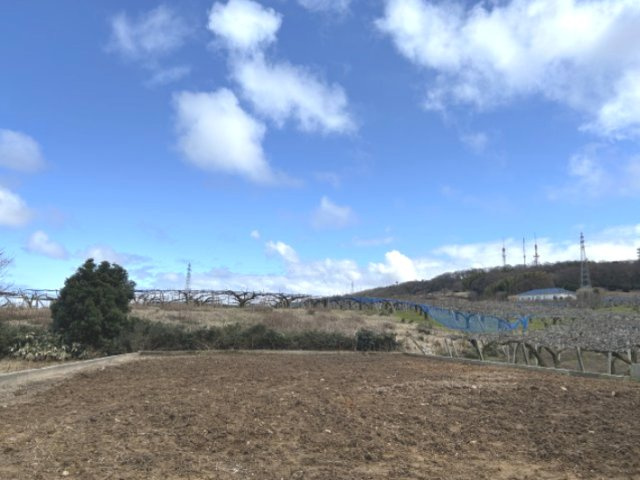 外観：316000005842