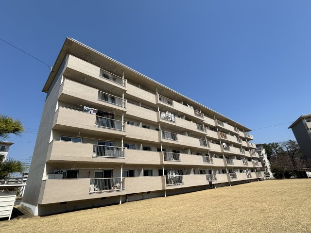 外観：312001195787