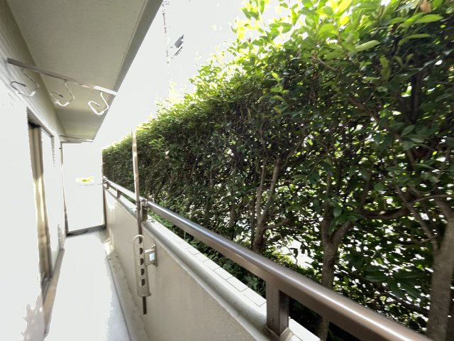 1階ですが植木があり、外からの目が気になりません。