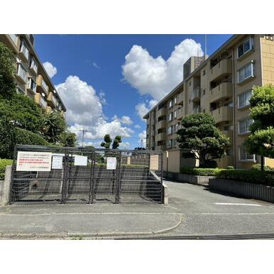 外観：343000090174