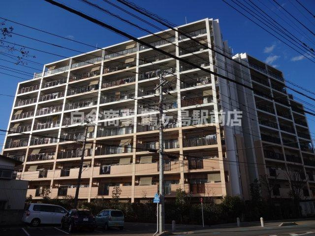 外観：311002244911