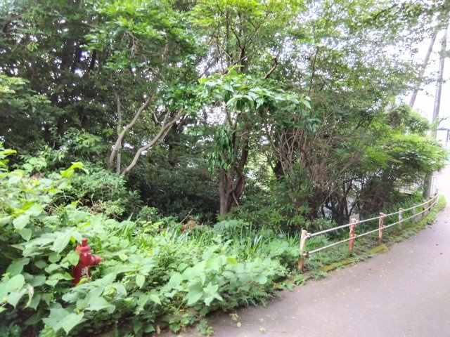 『あかざわ恒陽台』の別荘地内に位置しています。閑静で落ち着いた雰囲気の住宅地です。周辺に緑も多くあります。