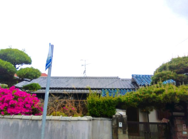 落ち着いた雰囲気の外観です