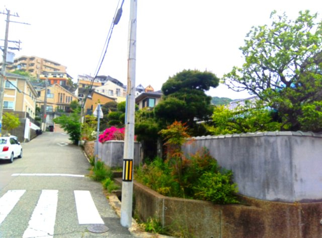 前面道路含む現地写真です