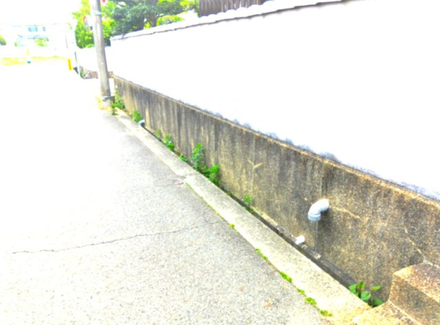 前面道路含む現地写真です