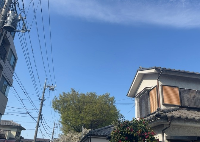 桜や紅葉の名所に出かける人は多いと思いますが、家にいながら季節の移ろいを感じる生活を送りませんか？リビングや窓から見える景色が生活を彩るワンポイントに！現地から見える景色を堪能してみては如何でしょう。