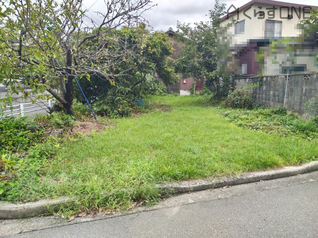 外観：328000548915