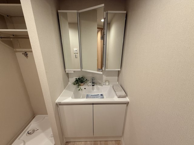 洗面台は収納もさる事ながら、身だしなみチェックや歯磨きなど、朝の慌ただしい時間や夜のゆったりとした時間いつでも活用できます。
