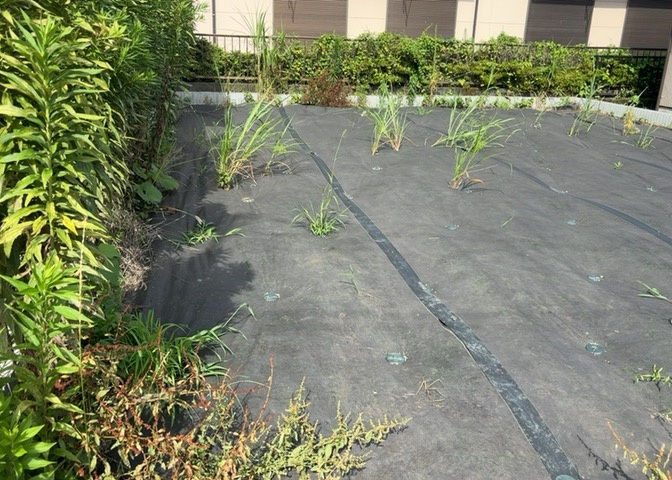 家を建てる場合、方位は要チェックです。現実的に日当たりのよい家ならばリビングは南側、建築基準法でも北側に当たる家への配慮は求められています。土地を見学に行く際は、方位磁針を持って行くようにしましょう。