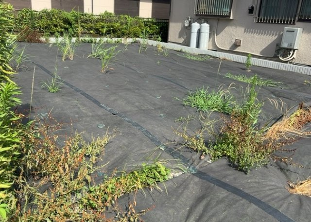 外観：314002389991