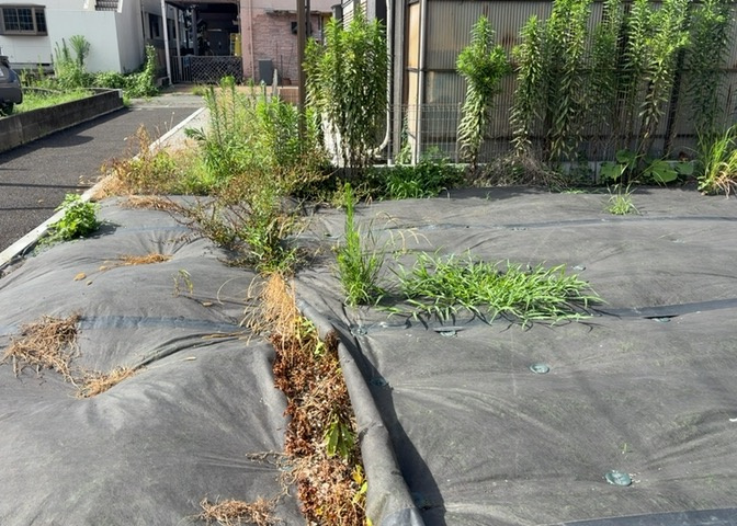 物件の詳細については、現地を見てわかること以外に、役所や法務局などで調べないとわからないことがあります。そのため、現地に行く場合は、もしこの物件を買ったらどのような生活ができるかをイメージしましょう。