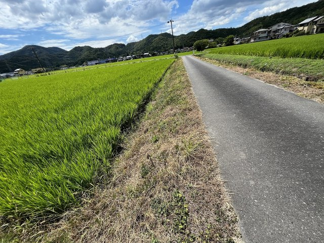 北側道路