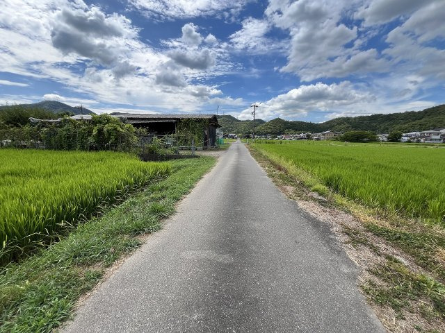 南側道路