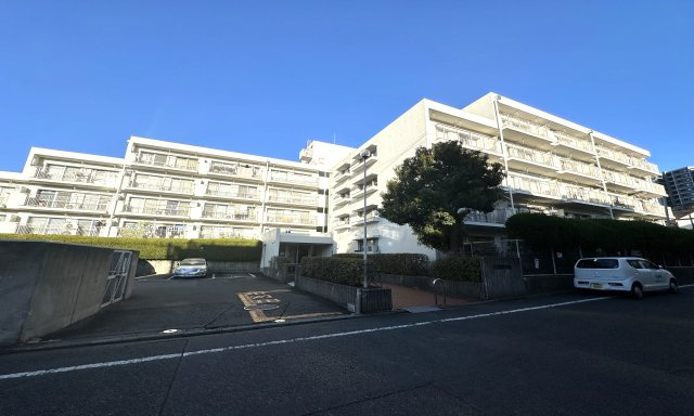 大切なペットと暮らせるリノベーションマンションで新生活。