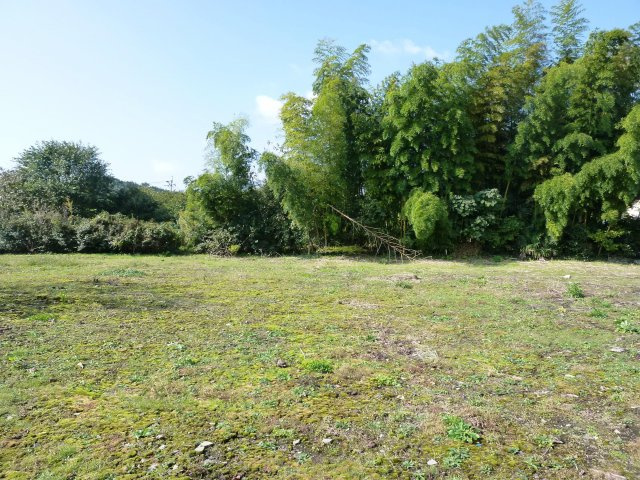 外観：343000048150