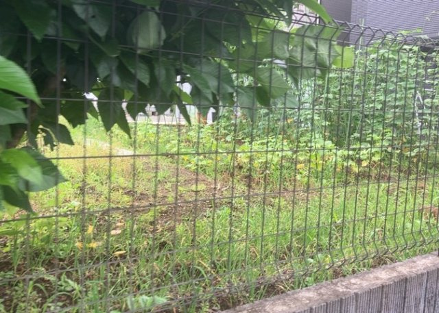 土地の前の道路に消火栓が設置されていることがあります。この場合、道路交通法第45条第1項により、駐車禁止の場所が指定されています。そのため、車庫などの駐車スペースをつくることができない場合があります。