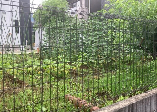 土地探しをしていると都市計画区域という言葉を目にすると思います。法律によって、都道府県知事や国土交通大臣が指定するエリアのことを指しており、都市計画区域は市街化区域と市街化調整区域に分けられています。