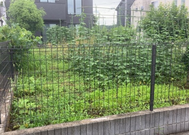 販売されている全ての土地が、宅地用の土地であるとは限りません。都市計画法に基づき、基本的に住宅を建てることができるのは土地計画区であることに加え、市街化区域として定められている地域のみとなっています。
