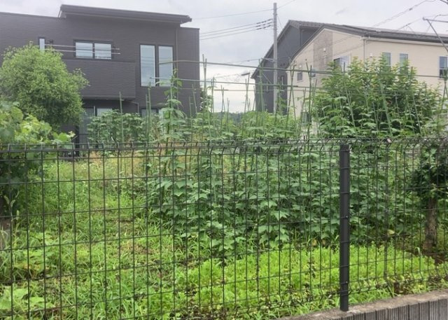 現地に行くなら、物件の周囲の地形がどうなっているかを見ることも大切です。周辺より低くなっている土地では、大雨などで水が集まりやすいため、地盤が弱くなっているということも考えられるため、注意が必要です。