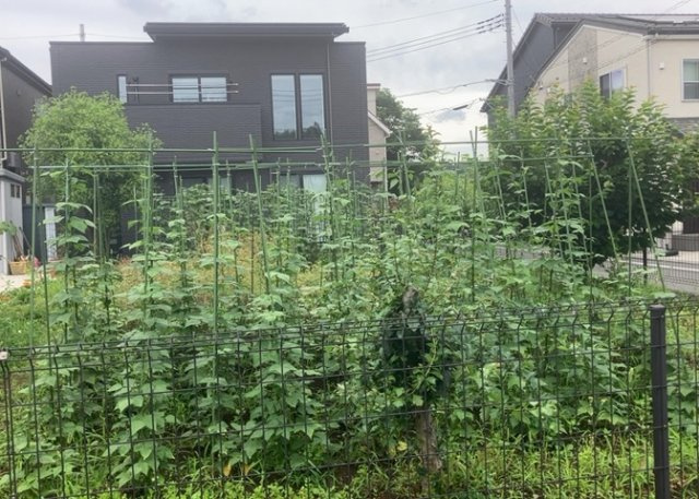 隣家の土地はどうなっているのか、生活利便施設が近くにあるのか、学校まで近いかなど、お客様のライフスタイルにあわせたイメージが重要です。また、近くにあると困る施設が近くにないかも確認するといいでしょう。