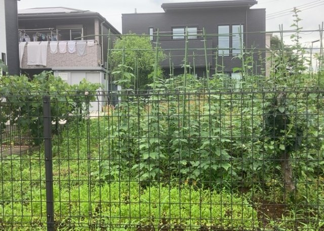 家を建てる前提で土地を探している場合、地盤の丈夫さは譲れない条件の一つです。地盤が脆弱だと追加工事が必要となります。また、過去に地盤沈下や液状化現象を起こした土地は、できるだけ避けた方がいいでしょう。
