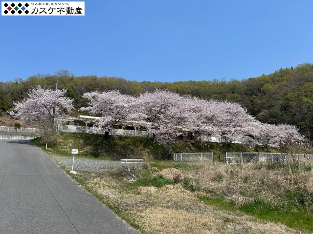 展望