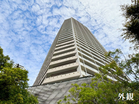 外観：313004470598