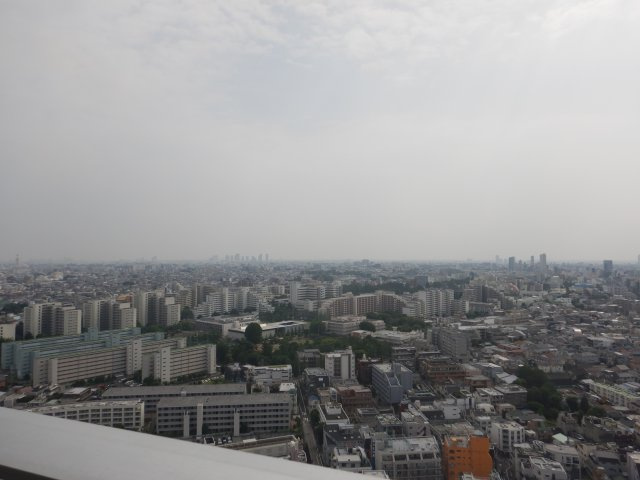 展望