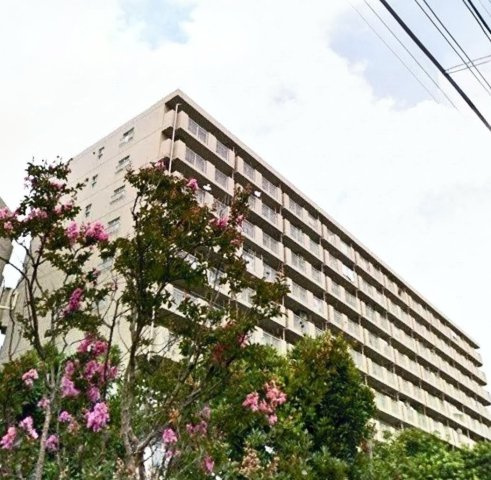 外観：312001299100