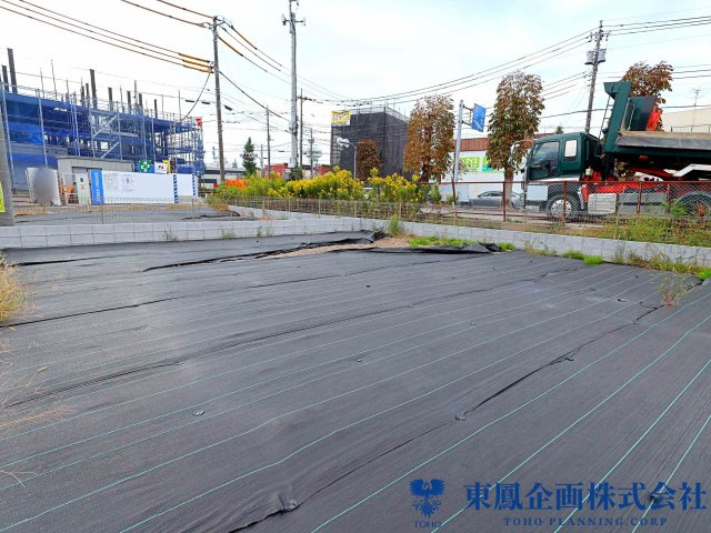 撮影日：2026年10月