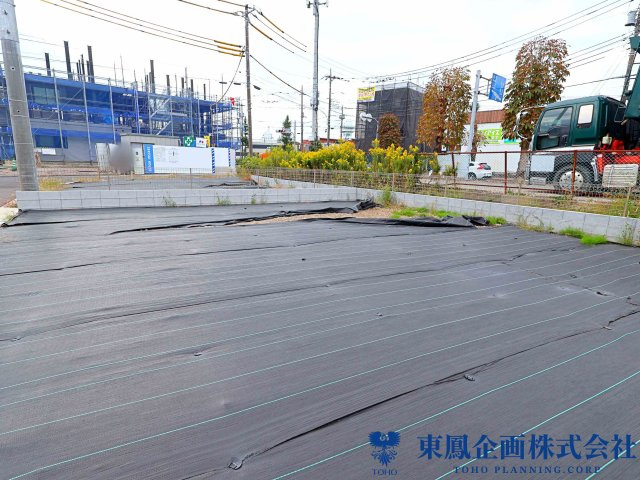 撮影日：2026年10月