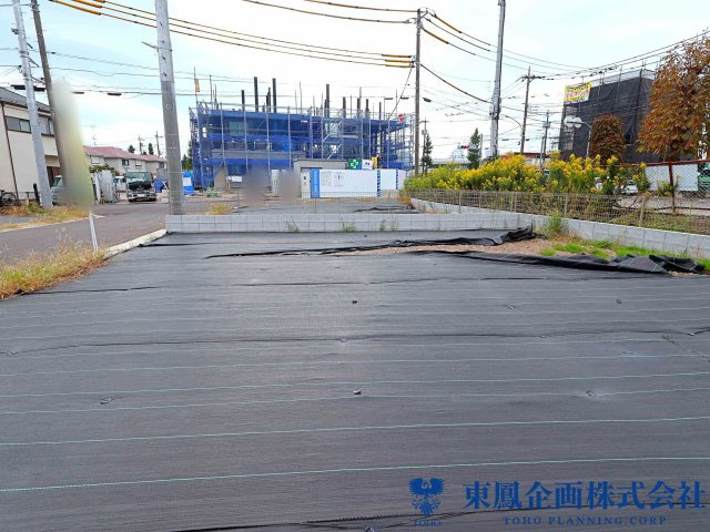 撮影日：2026年10月
