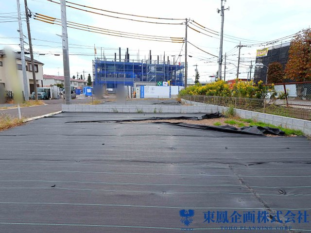 撮影日：2026年10月