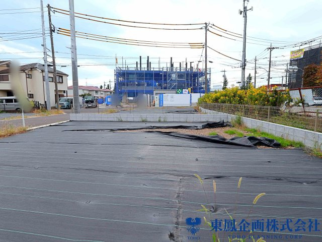 撮影日：2026年10月